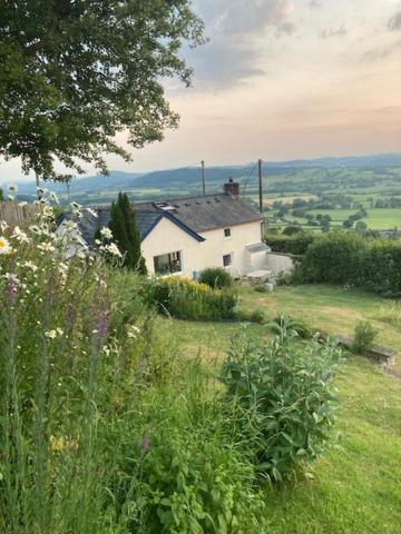Trinity Cottage Welshpool Dış mekan fotoğraf