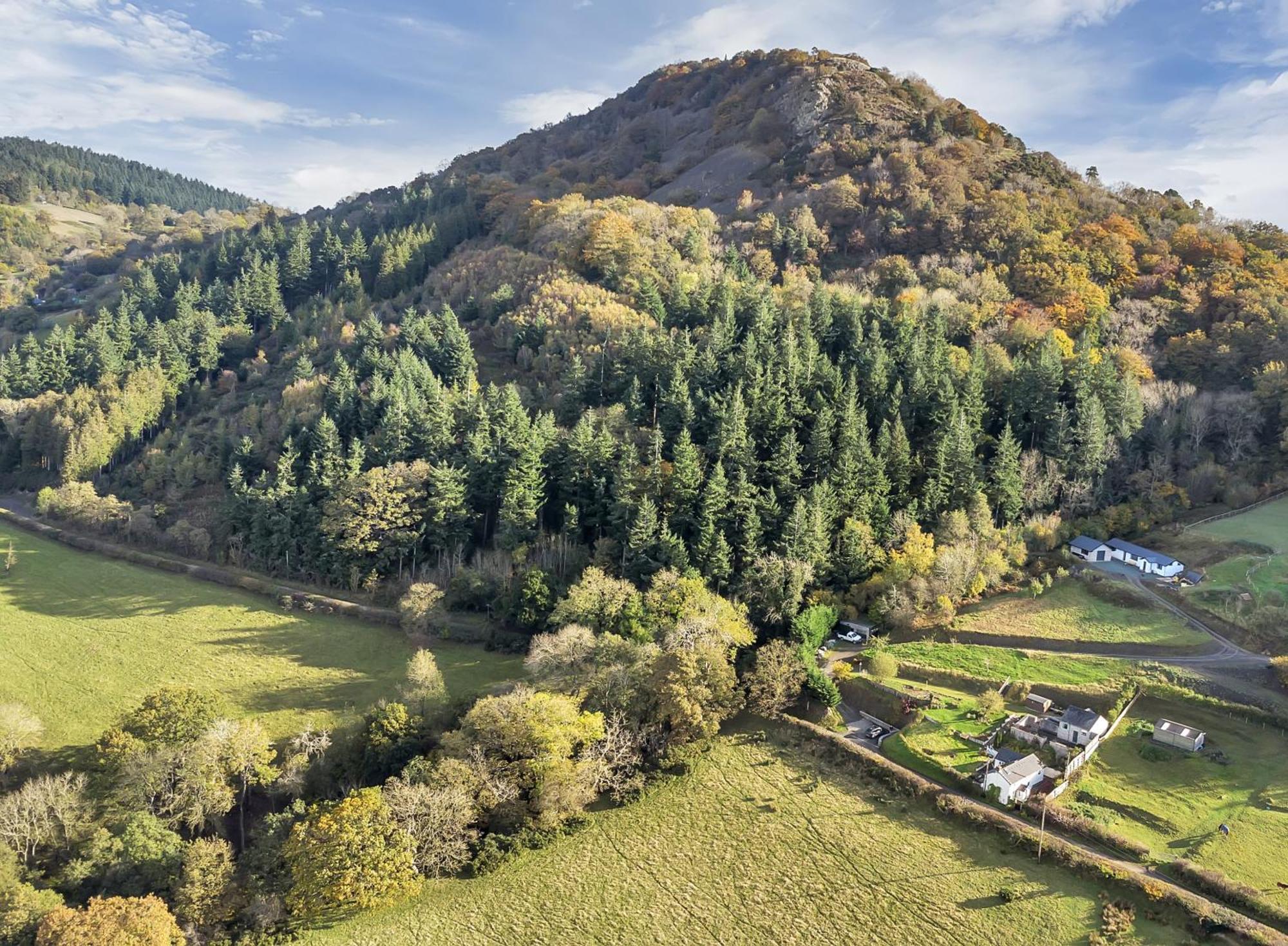 Trinity Cottage Welshpool Dış mekan fotoğraf